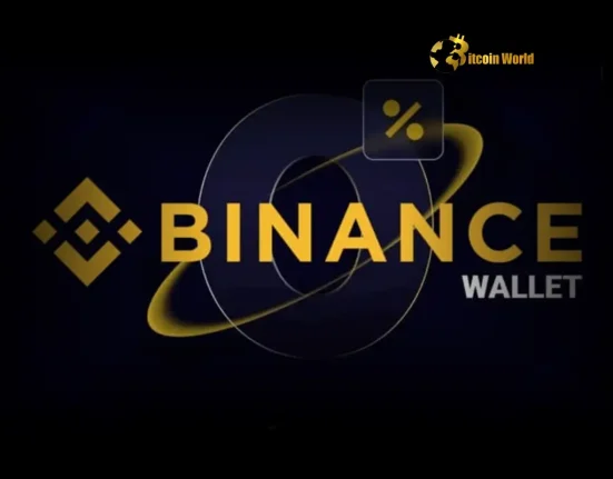 Exploding Popularity Binance Wallet Achieves Dominant $90M Daily Trading Volume