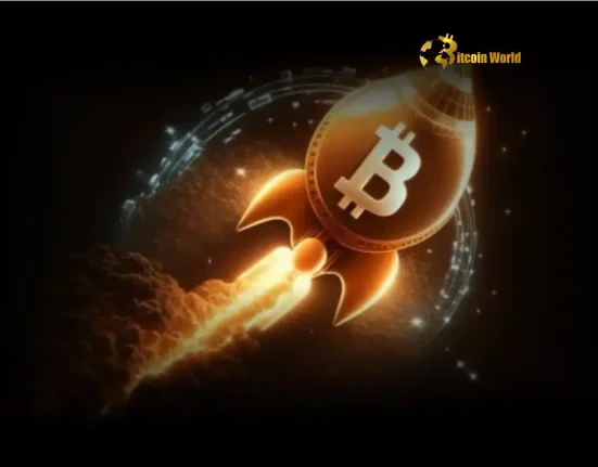 Explosion in Bitcoin Startup Funding Pre-Seed Deals Surge 50% in 2024