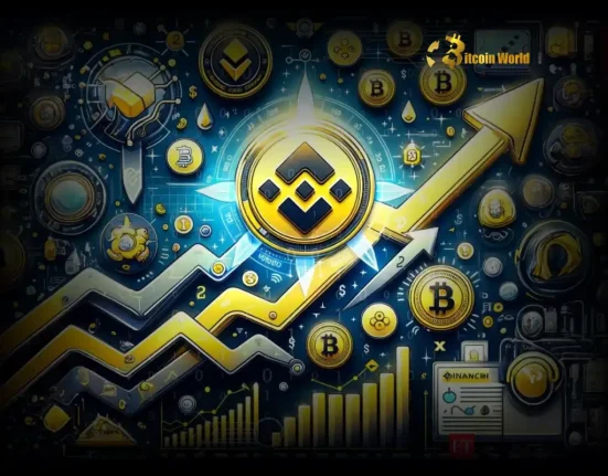 Explosive BSC Meme Coin Hype Binance Steps In as DEX Trading Volume Skyrockets