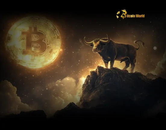 Explosive Bitcoin Bull Market Imminent Analyst Predicts Massive Rally in 90 Days