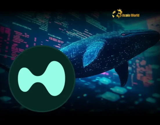 Explosive Crypto Accusations: ZachXBT Exposes Hyperliquid Whale in Suspicious Transactions