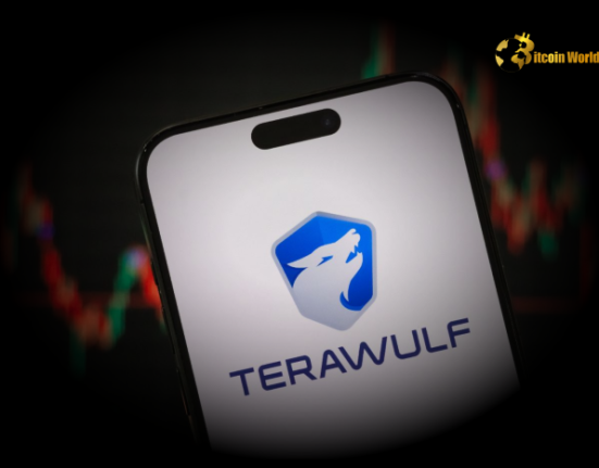 Explosive Growth TeraWulf’s Bitcoin Holdings Surge 400% in Spectacular Year
