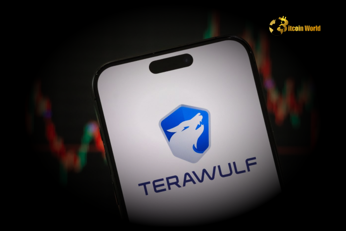 Explosive Growth TeraWulf’s Bitcoin Holdings Surge 400% in Spectacular Year