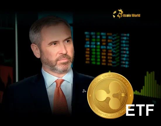 Explosive Prediction Ripple CEO Unveils XRP ETF Launch in US This Year