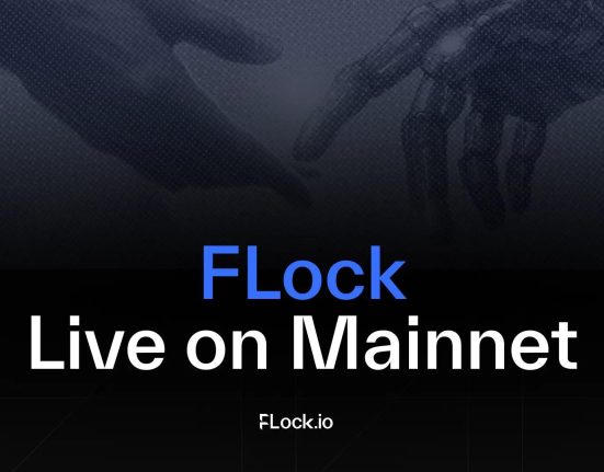 FLock 1735575322tlQbAl0mtv