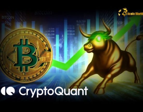 Fearless Bitcoin Bull Cycle Prediction CryptoQuant CEOs ETF Outflow Alert