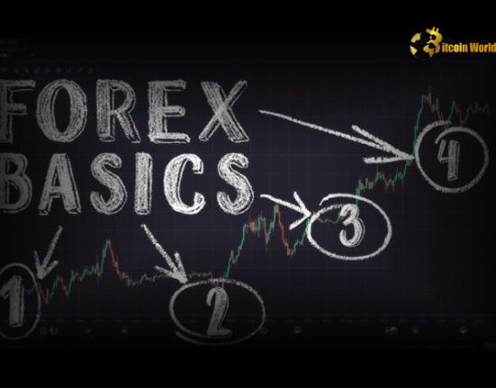 Forex Trading Basics: A Beginner’s Guide to the Foreign Exchange Market