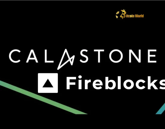 Fund Tokenization: Calastone Fireblocks Partnership Revolutionizes Asset Management