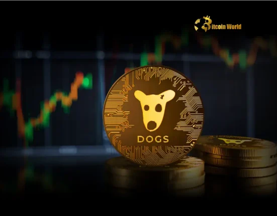 Generous DOGS Memecoin: $6,830 Donation Offers Hope for South Korea Wildfire Relief