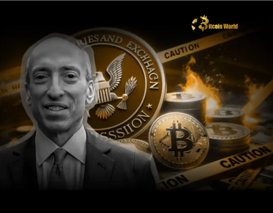 Gensler’s Grim Crypto Warning Altcoins at Risk, Bitcoin Offers Hope