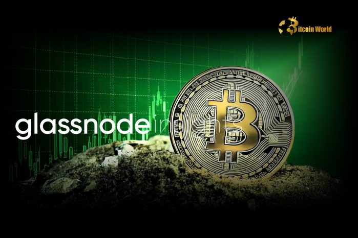 Glassnode Analyst Predicts Bitcoin Could Reach $150K, Offering Massive Gains for Holders