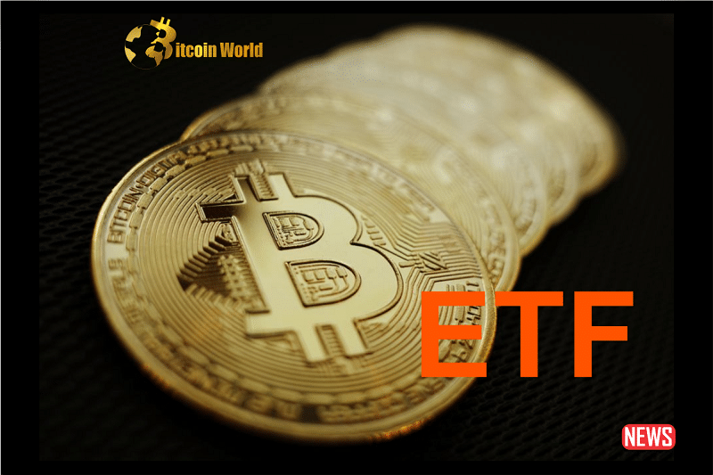 Global Crypto Influencers Buzz