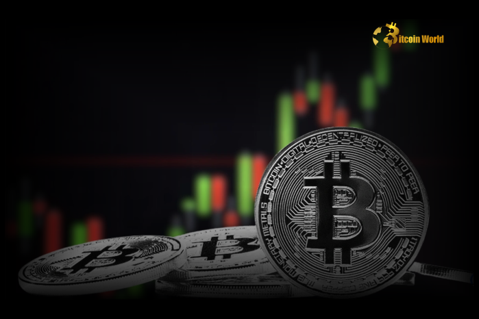 Gloomy Bitcoin Outlook CryptoQuant CEO Predicts Muted Activity Until US Market Confidence Rebound