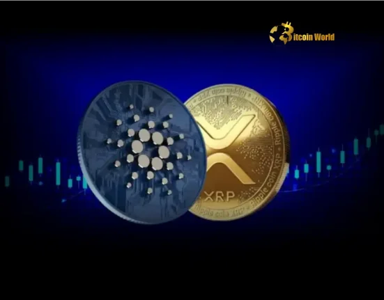 Groundbreaking Alliance Cardano and Ripple Explore RLUSD Integration
