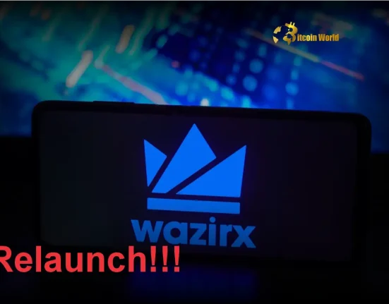 Hopeful Resurgence WazirX Poised for Relaunch After Singapore Court Ruling