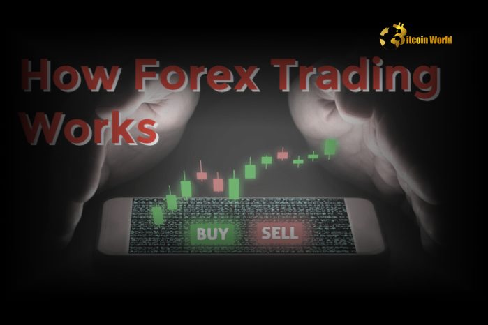 How Forex Trading Works: A Beginner’s Guide to Currency Trading