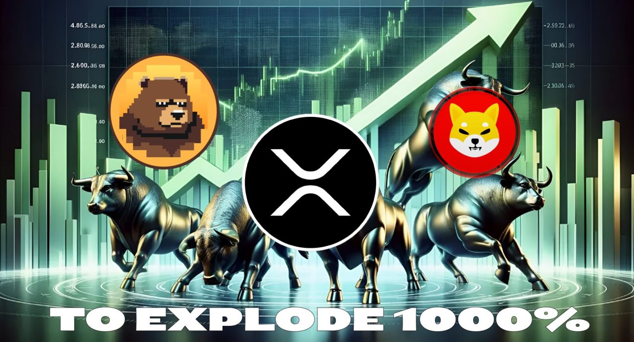 IMG 0102 memecoin