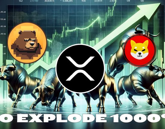 IMG 0102 memecoin