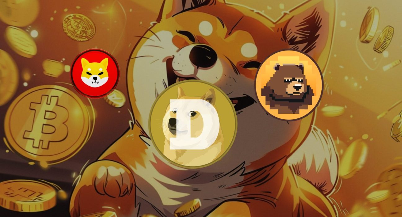 IMG 0117 memecoin