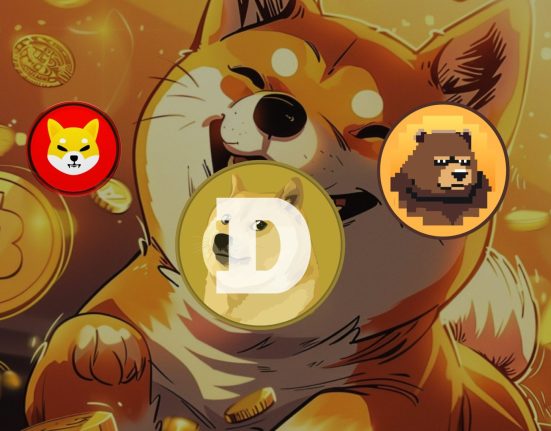 IMG 0117 memecoin