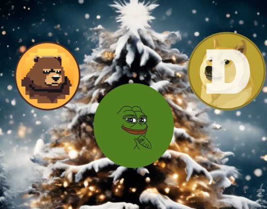 IMG 0135 memecoin