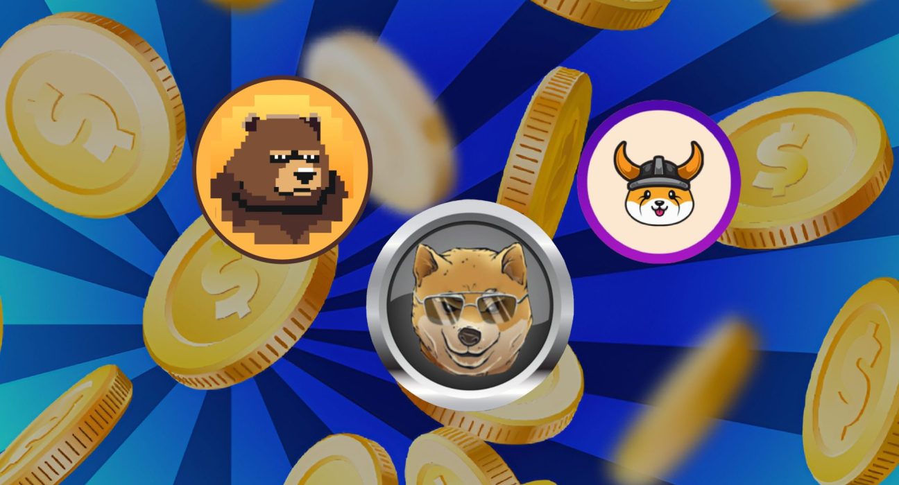IMG 0147 memecoin