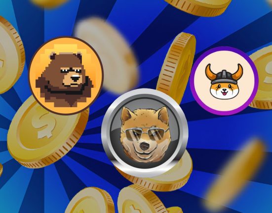 IMG 0147 memecoin