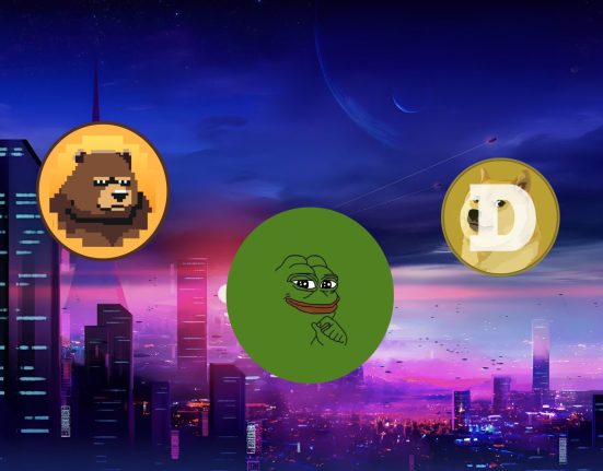 IMG 0159 memecoin
