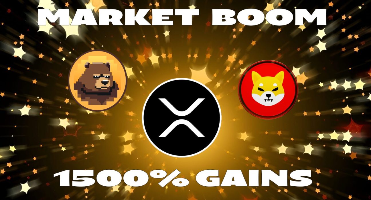 IMG 0160 memecoin