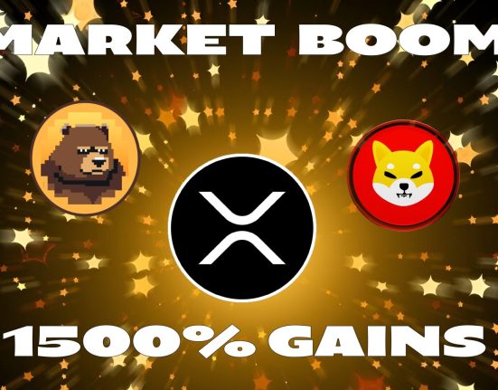 IMG 0160 memecoin