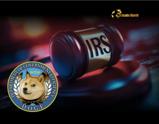 IRS Crypto Tax Experts Resign Decoding Their Move to D.O.G.E.