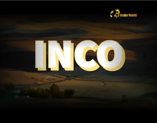 Inco Funding Secures Bright Future for Blockchain Privacy with $5M Boost
