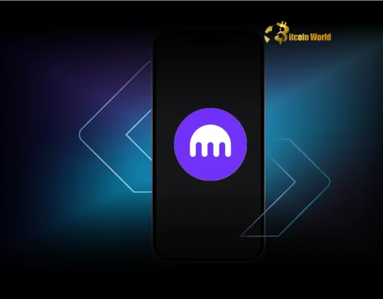 Urgent Kraken Wallet Issue Update Affects Cryptocurrency Exchange Users