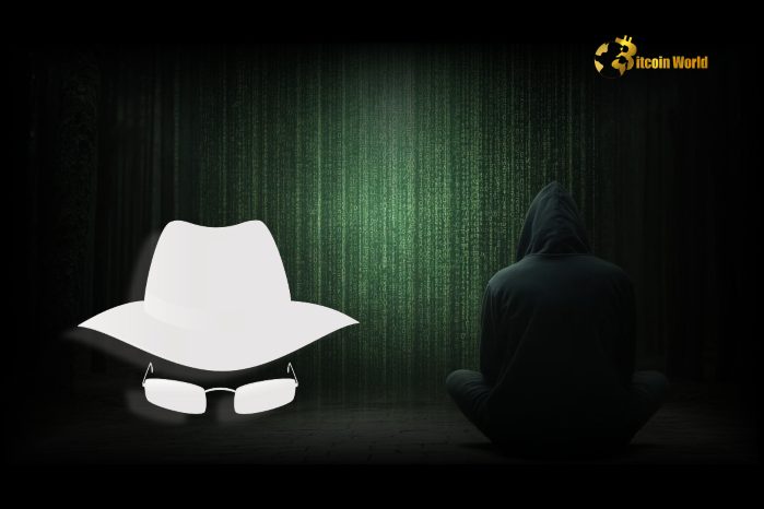 Intriguing White Hat Bounty Infini Founder’s Clever Move to Recover Stolen Crypto After DeFi Exploit