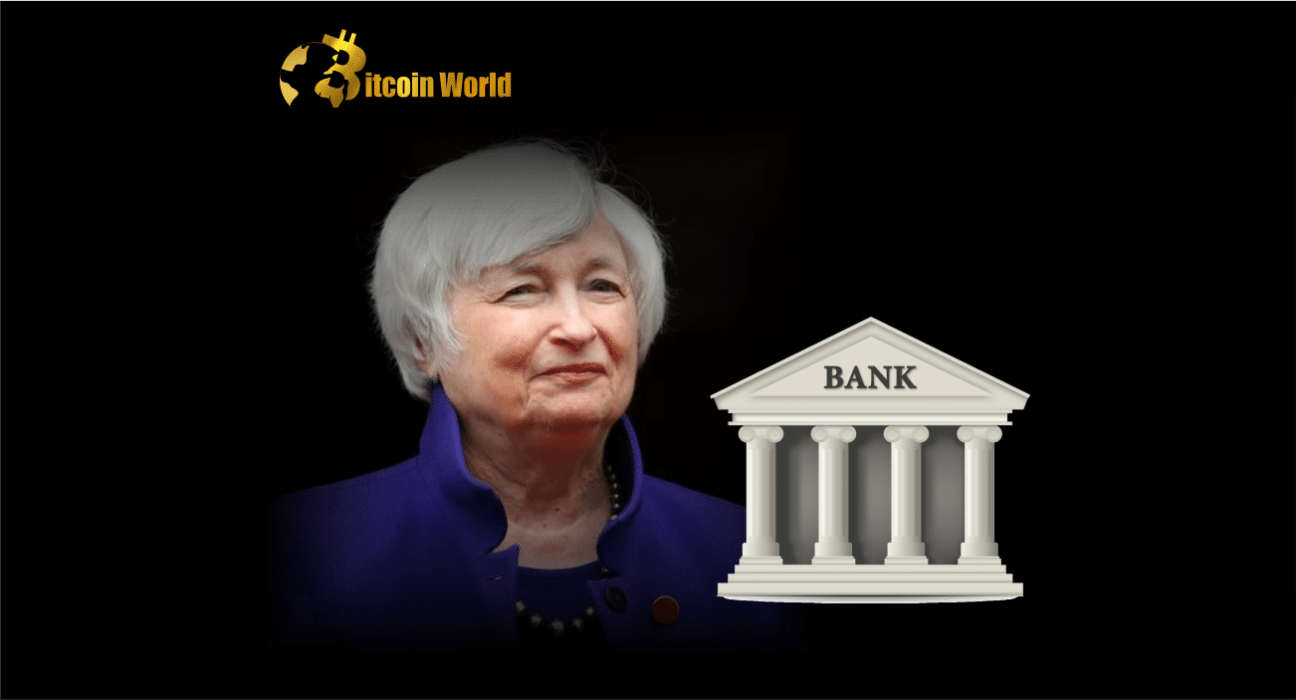 Janet Yellen Grilled on Bank Failures, Proposes Only Banks With Systemic Risks Get Refunded