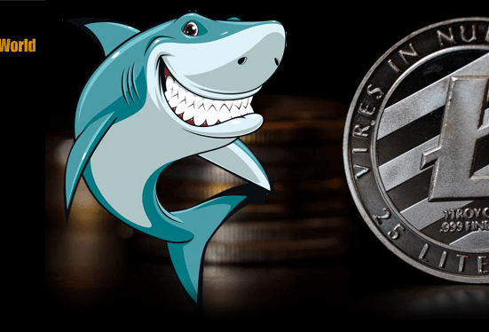 Assessing why LTC whales stood on thin ice despite Litecoin’s 2022 performance