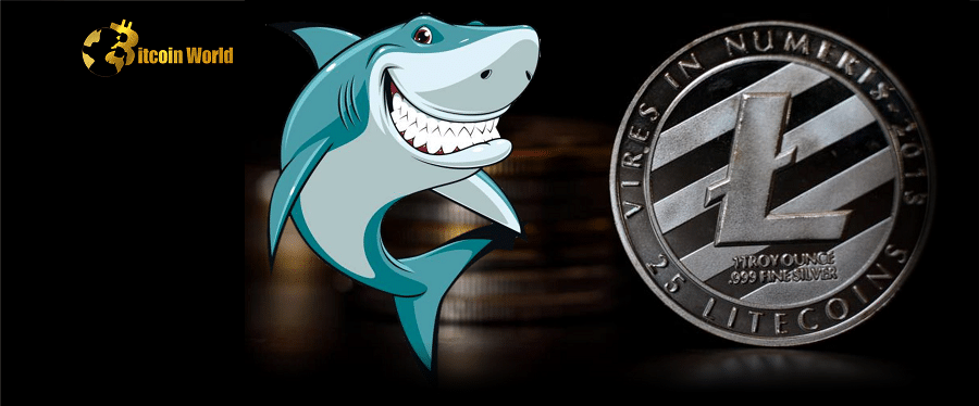 Assessing why LTC whales stood on thin ice despite Litecoin’s 2022 performance
