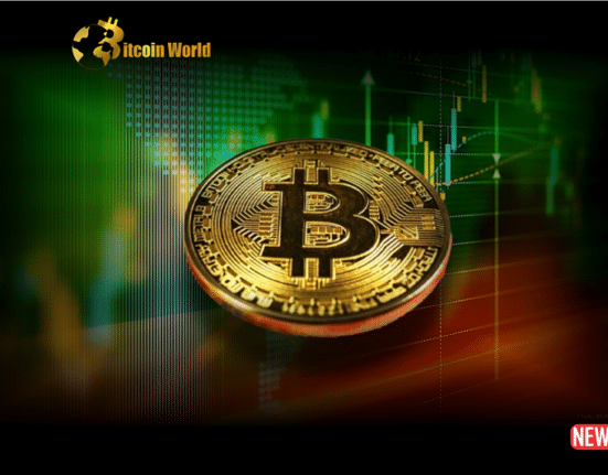 Large Bitcoin Holders Accumulating