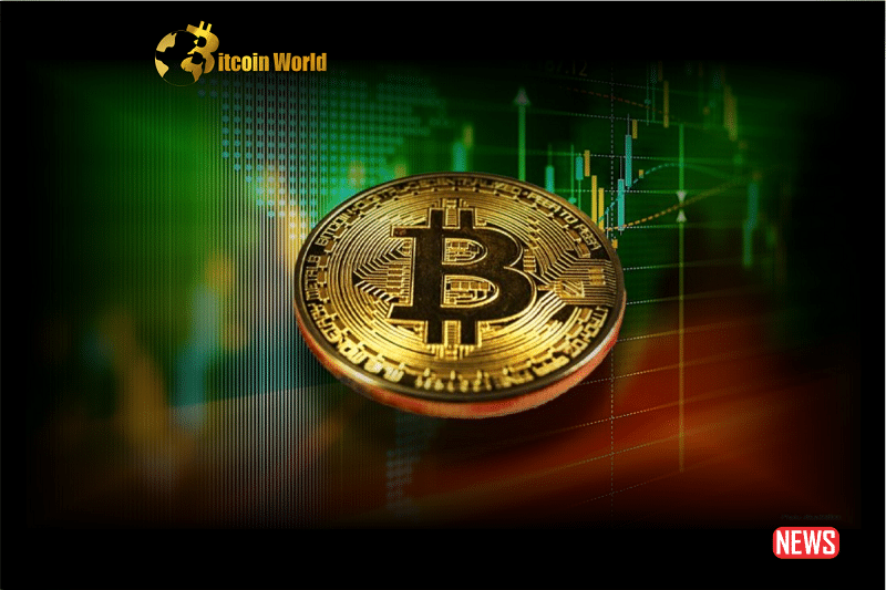 Large Bitcoin Holders Accumulating