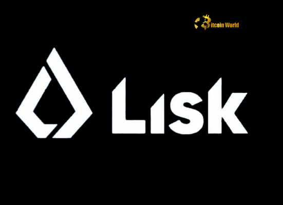 Lisk DAO Votes on Monumental 100M LSK Token Burn A Key Decision for Lisk Crypto