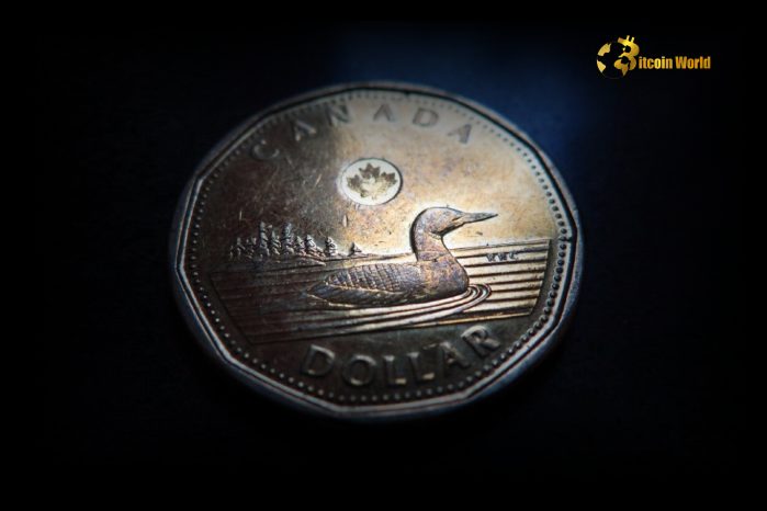 Loonie’s Triumph: Canadian Dollar Skyrockets Amidst US Dollar Trade Turmoil