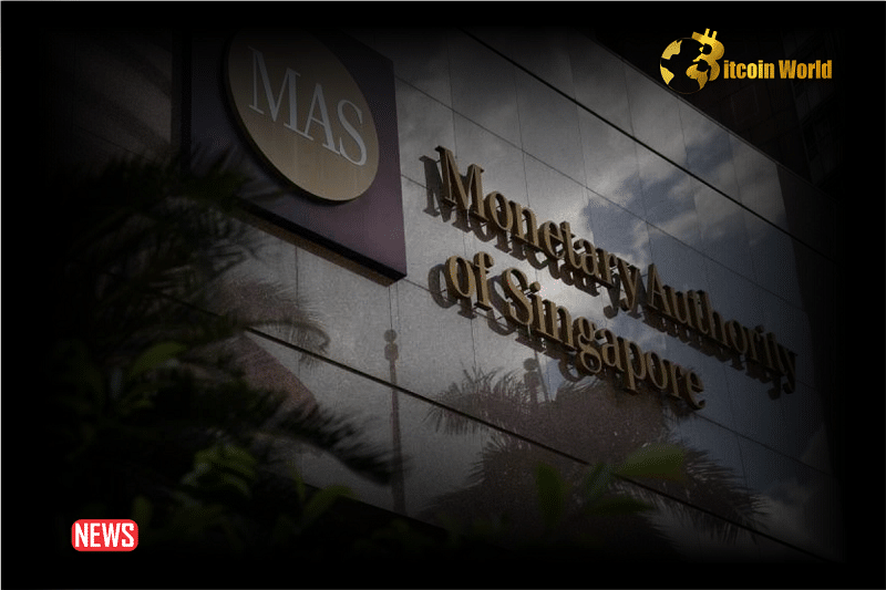 Cryptocurrencies Have Failed the Test of Digital Money: MAS Managing Director
