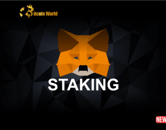 METAMASK STAKING