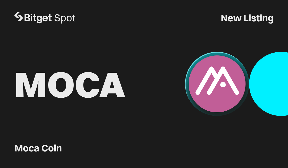 MOCA 1720626108c9e5lF9rPr 2