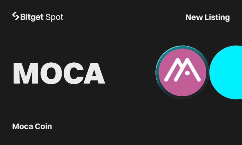 MOCA 1720626108c9e5lF9rPr 2