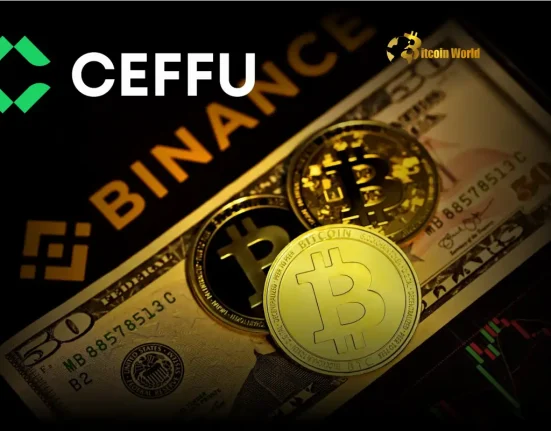 Massive 2,666 BTC Transfer from Ceffu to Binance Triggers Crypto Market Watch