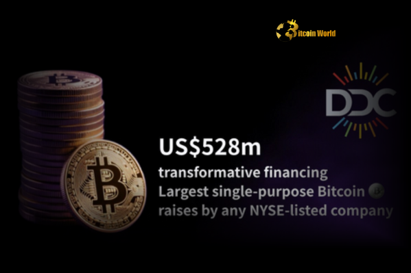Massive $528M Boost: DDC Enterprise Expands Bitcoin Treasury