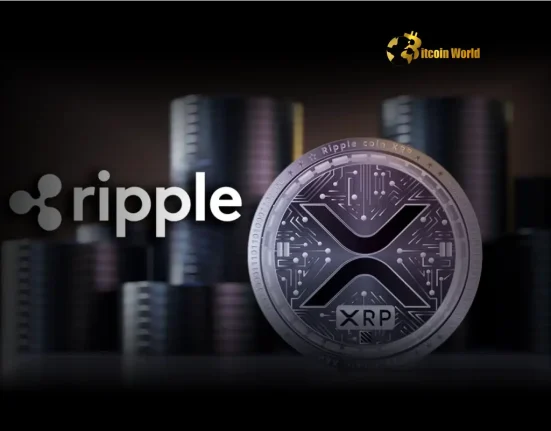 Massive XRP Escrow Ripple’s Strategic Lockup of 370 Million Tokens
