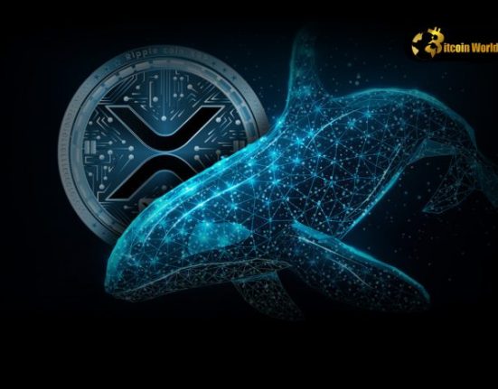 Massive XRP Whale Accumulation: Is a Price Surge Imminent?