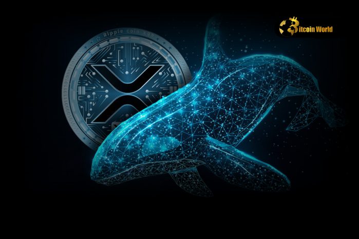 Massive XRP Whale Accumulation: Is a Price Surge Imminent?